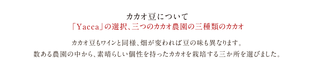 有機栽培の高品質カカオを使用した本物のチョコレート「Yacca」| カカオ豆について | 「Yacca」の選択、三つのカカオ農園の三種類のカカオ | カカオ豆もワインと同様、畑が変われば豆の味も異なります。数ある農園の中から、素晴らしい個性を持ったカカオを栽培する三か所を選びました。