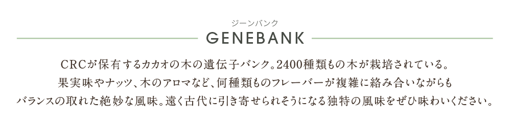 有機栽培の高品質カカオを使用した本物のチョコレート「Yacca」| Genebank（ジーンバンク）