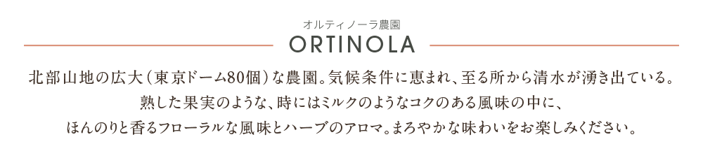 有機栽培の高品質カカオを使用した本物のチョコレート「Yacca」| Ortinola（オルティノーラ）